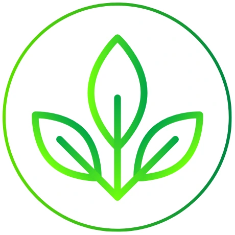 Logo Essentia CO - Cliente de JB WEB Studio